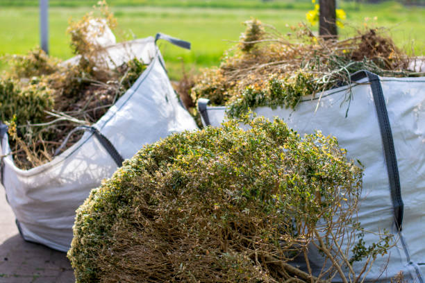 Best Electronics Removal Services  in Fruitvale, CO